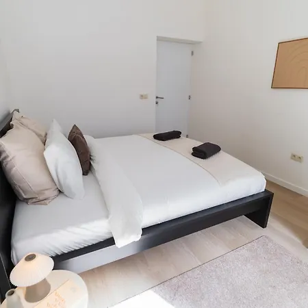 Stylish 1br Apt, With Living In With Wifi & Tv * Gante